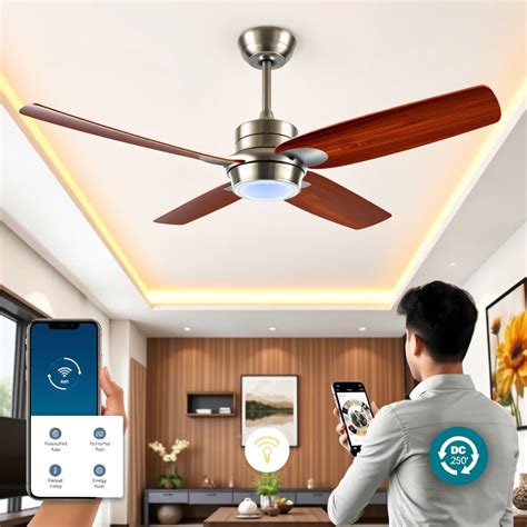 50,000 Courts Ceiling Fan: A Comprehensive Guide