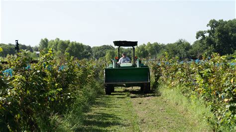 50+ Best Farms in North Jersey: Your Ultimate Guide to Fresh Produce, Family Fun, and Agritourism