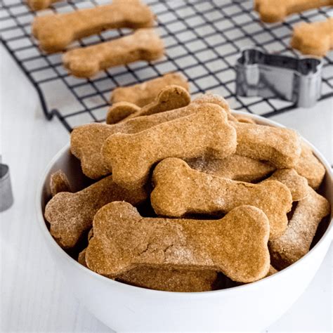 50+ Healthy Dog Food Treats: Recipes, Products, and Tips