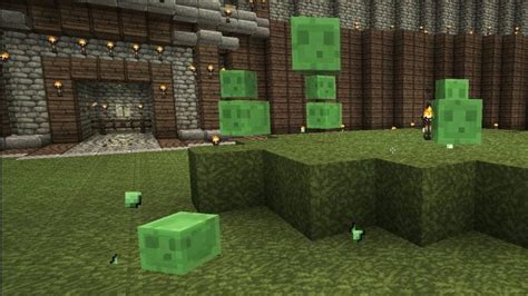 50 Crazy Things You Never Knew About Slime in Minecraft