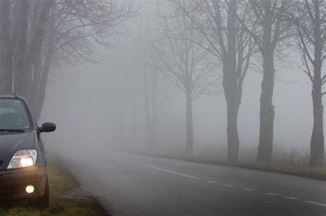 50 Foggy Facts That Will Leave You in a Haze