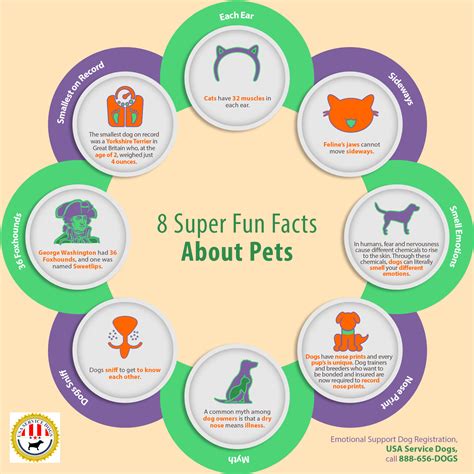 50 Fun Facts About Pets 'N Stuff Colorado