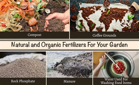 50 Insanely Effective Ways to Grow a Thriving Organic Garden with Homemade Fertilizer