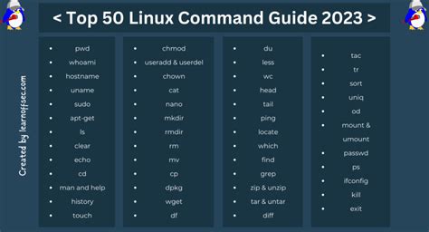 50 Must-Know Chopper Commands for 2023