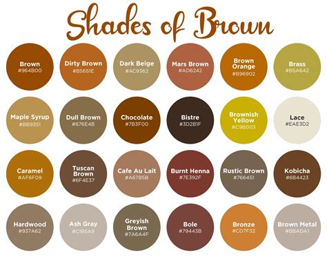 50 Shades of Ash Brown: Your Complete Guide to This Timeless Hue