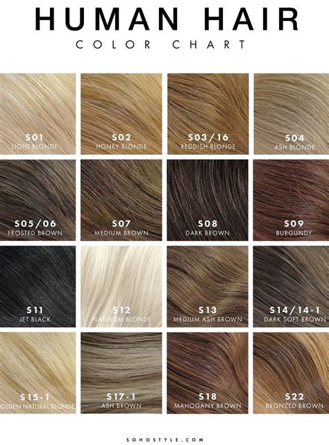 50 Shades of Light Ash Brown: A Complete Guide