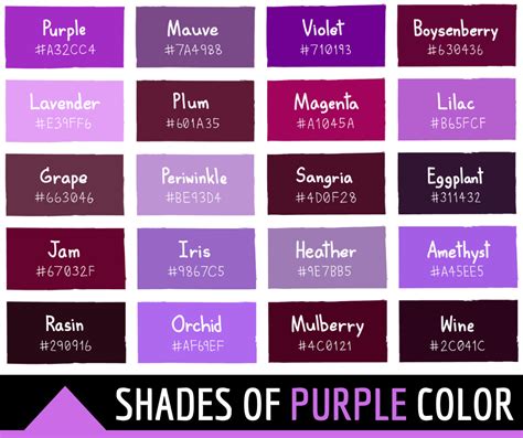 50 Shades of Purple Ombre: The Ultimate Color Guide