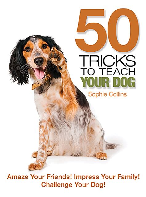 50 Tricks to Teach Your Dog: Amaze Your Friends! Impress Your Family! Challenge Your Dog! Kindle Editon