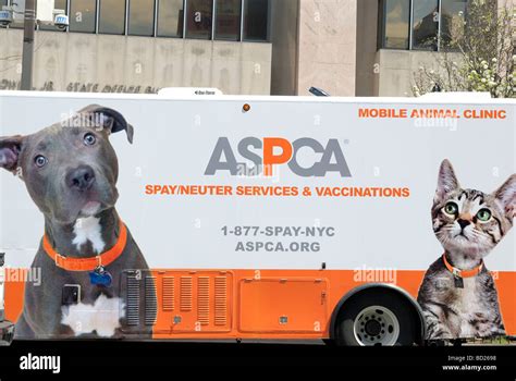 50 Ways the American Society for the Prevention of Cruelty to Animals (ASPCA) Protects Animals