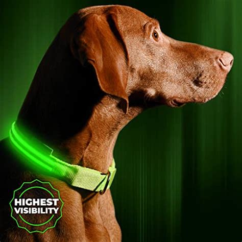 500% Brighter: The Ultimate Guide to LED Dog Collars