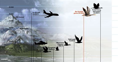 5000 ft km: An Unprecedented Elevation for Aerospace Exploration