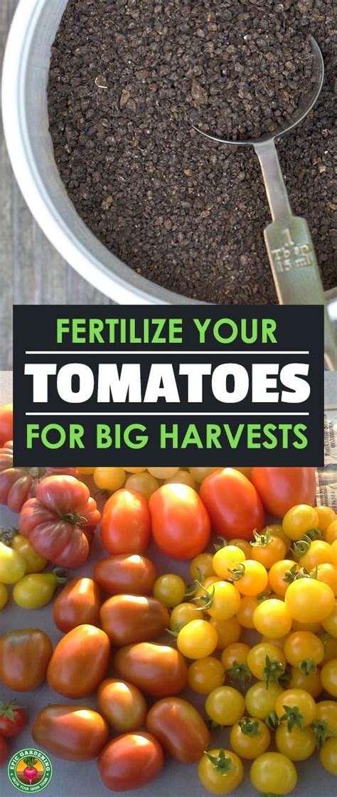 52 Mind-Blowing Vegetable Food Fertilizers for Exploding Harvests