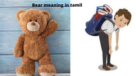 53 Things You Should Know About Bear with Us Meaning in Tamil