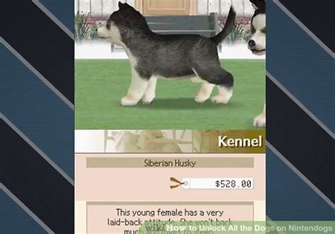 5348 - Nintendogs - Unlocking the Power of Virtual Companionship