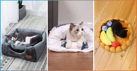 54 Purr-fect Cave Cat Beds for Your Feline Friend