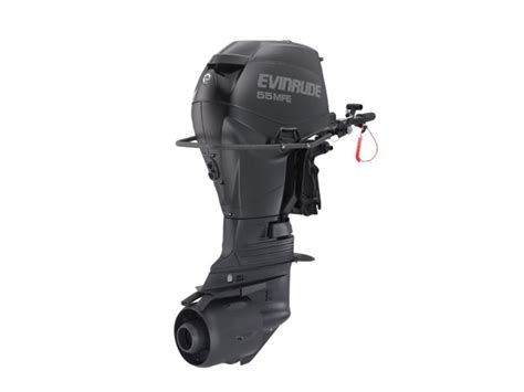 55 hp outboard motor Doc