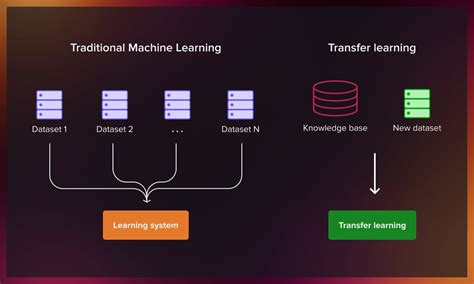 5DL in ML: A Comprehensive Guide to Transfer Learning with Deep Learning