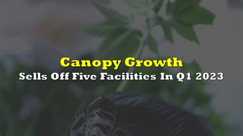 5L5 Canopy Growth: A Deep Dive into the Future of Cannabis