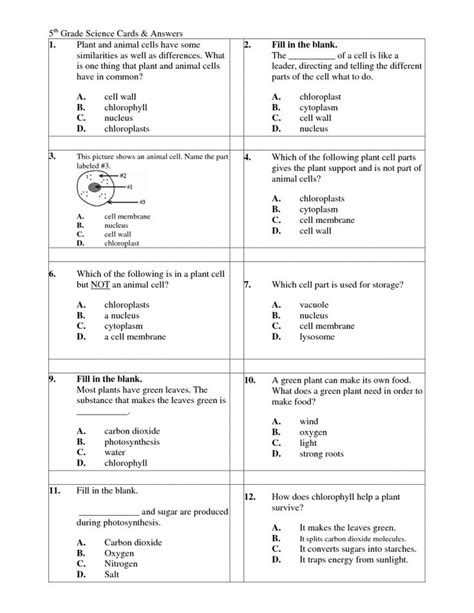 5th Grade Science Workbook Answers Epub