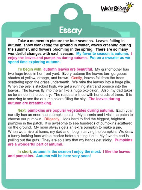 5th grade expository essay student samples Epub