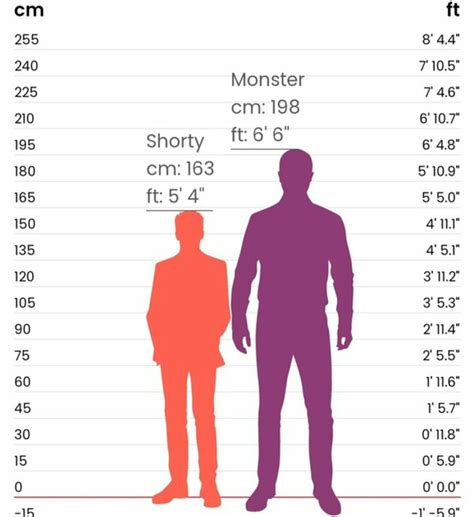 6'5 ft