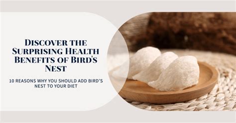 6 Bird Nest Benefits That Will Surprise You