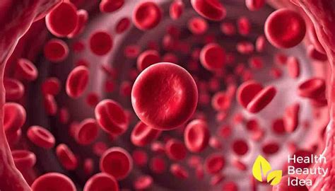 6 Elevated Red Blood Cell Causes You Need to Know