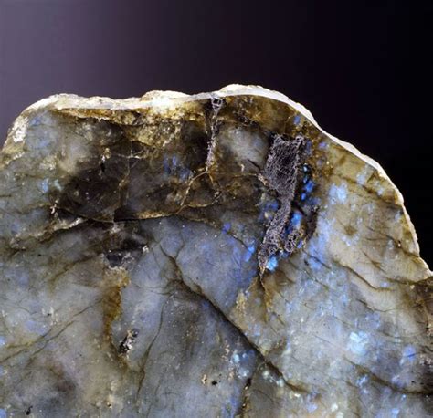 6 Essential Labodorite Facts That'll Captivate You