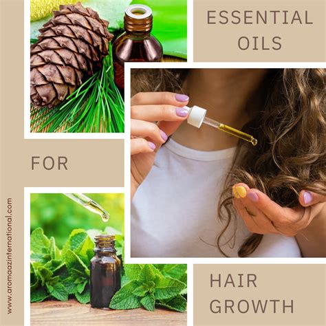 6 Essential Oils to Boost Hair Growth by 37% in Just 3 Months