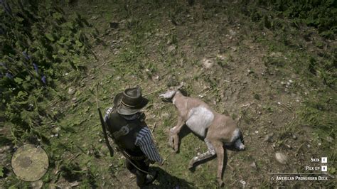 6 Essential Pronghorn RDR2 Tips