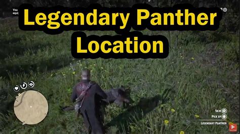 6 Essential Tips for Hunting the Elusive RDR 2 Panther