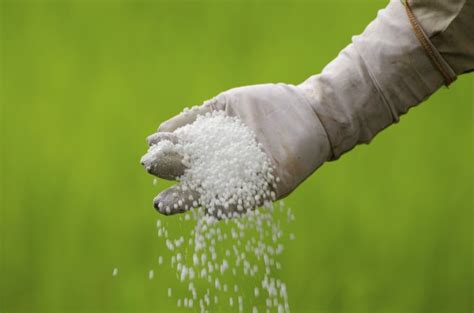 6 Fertilizer Physical Hazards That Can Ruin Your Day