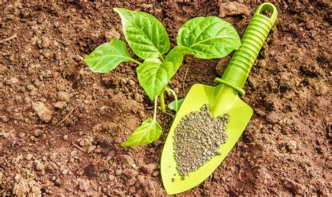 6 Incredible Benefits of Nitrogen Potassium Fertilizer That Will Astound You