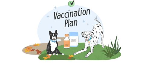 6 Pet Vaccination Tracking and Reminder Tools for 2025