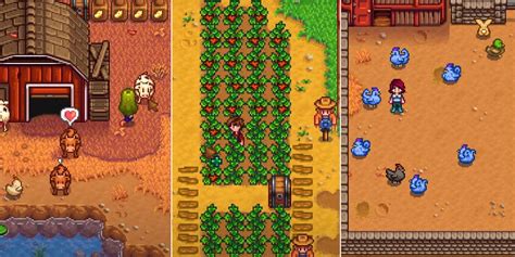 6 Secret Farming Skill Stardew Valley Tricks That Will Change Your Game