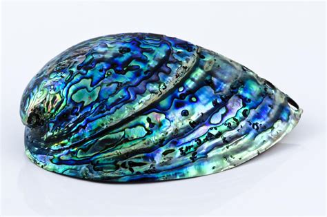 6 Things Abalone Crystals Can Do That Will Amaze You