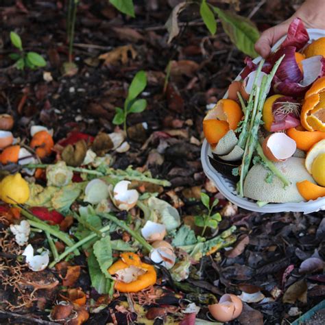 6 Ultimate Compost Machines for Sale That Will Help You Reap the Benefits of a Thriving Garden