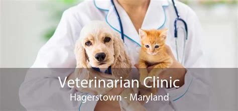 6 Vets in Hagerstown MD that Treat Every Pet Like Family