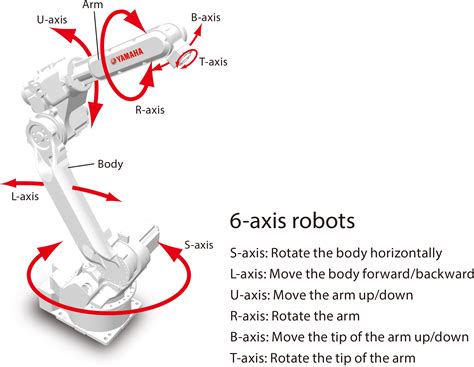 6-Axis Articulation: