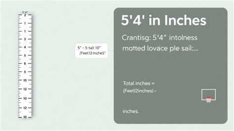 6.5 Feet to Inches: An Exhaustive Guide to Converting Vertical Measurements