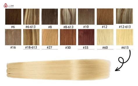 613 Hair Color: A Comprehensive Guide to Its Origins, Benefits, and Applications