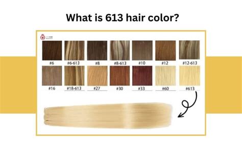 613 Hair Colors: The Ultimate Guide to Finding Your Perfect Shade