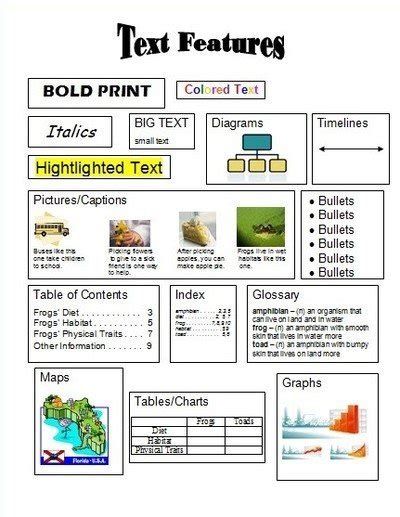 6th grade text features mini lesson plan PDF