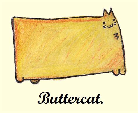 7,000,000 Reasons to Love Buttercat: A Comprehensive Guide