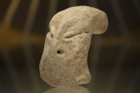 7,000-Year-Old Spongebob Beard: A Historical and Cultural Enigma