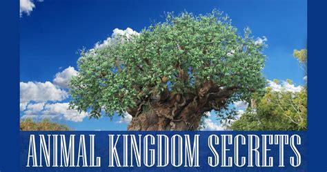 7:00 PM: Secrets of the Animal Kingdom