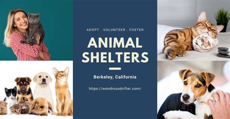 7 Animal Shelters in Berkeley CA That Give Second Chances