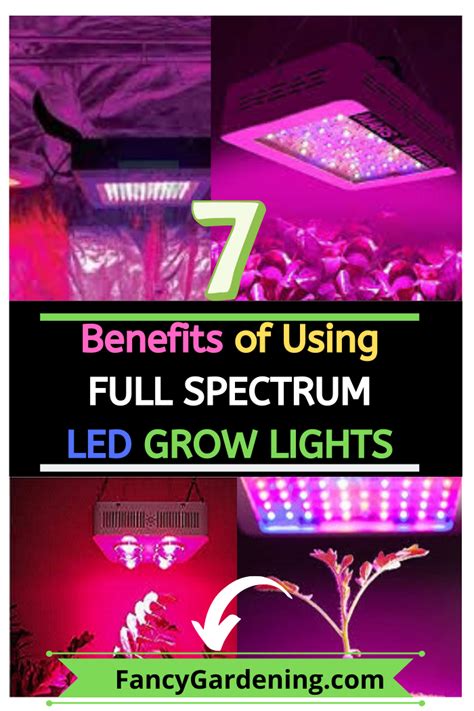 7 Benefits of Using LED Plant Lights