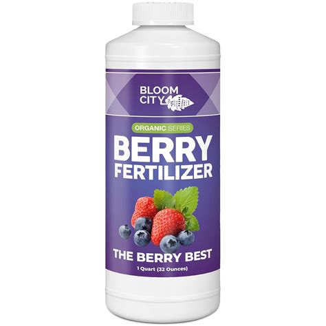 7 Best Berry Fertilizers