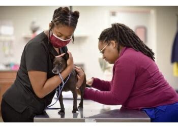 7 Best Vet Clinics in Charlotte, NC You Can Trust